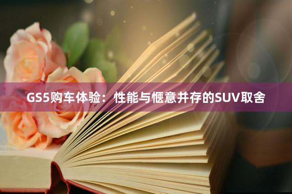 GS5购车体验：性能与惬意并存的SUV取舍